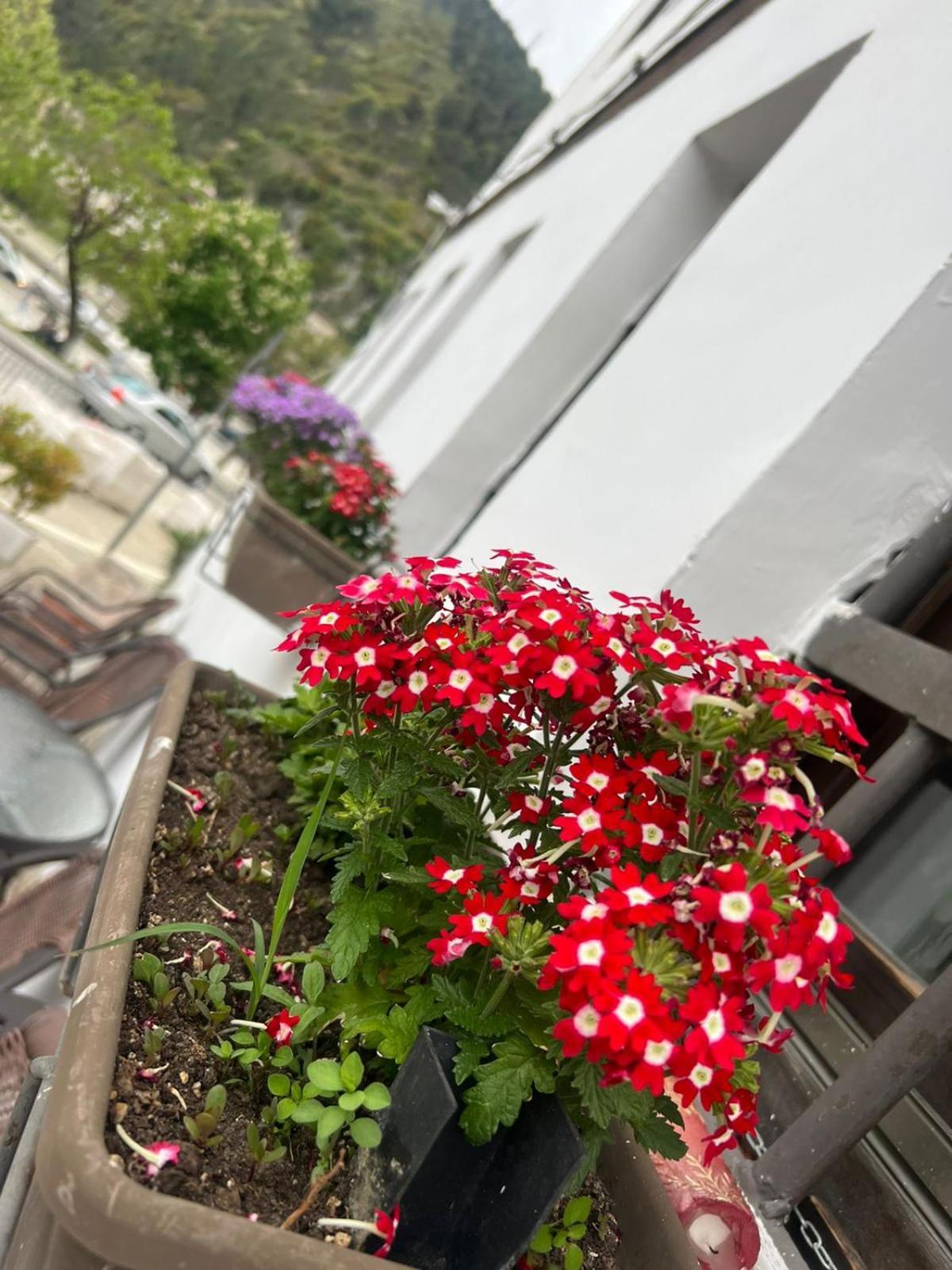 Omer Hotel *